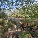 Casa Nature بيت للعطل