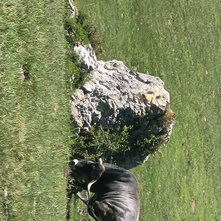 بيت للعطل Casa Nature *
